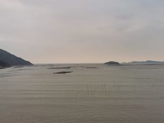 -北岐滩涂
