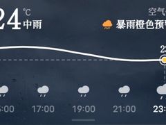 -肯德基(黄渡DT店)