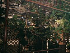 -金稼园·金平湖农家菜