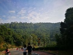 -火炉山森林公园