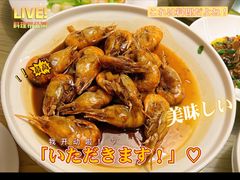 -日出青木