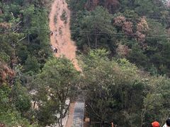 -青龙山国家森林公园