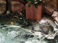 -东北大院·东北菜(三台子店)