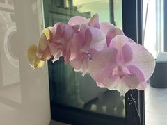 -南宁时代电影大世界(CGS激光中国巨幕)