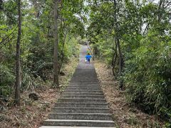 -南海湾森林生态园