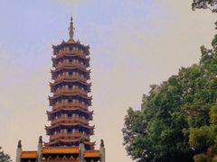 -大雁山风景区