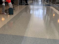 -达拉斯 沃斯堡国际机场