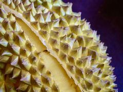 -百果园PAGODA(应元路店)