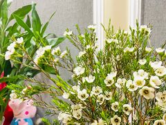 -循礼门鲜花花市(武汉循礼门店)