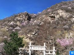 -灵山