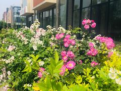 -泉乐坊步行街(烟酒特产平价超市店)