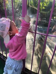 -萌宠亲子动物乐园(槐房万达店)