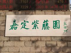 -嘉定紫藤园