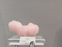 -湖南省地质博物馆