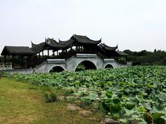 -上海海湾国家森林公园