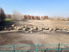 -溱湖国家湿地公园