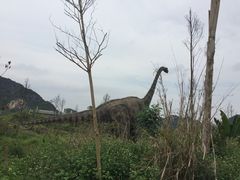 -龙谷湾旅游休闲度假区