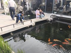 -小陆莲花蟹园农家乐(莲花岛店)