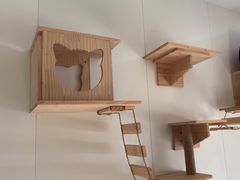 -美联众合动物医院·24h京西诊疗中心