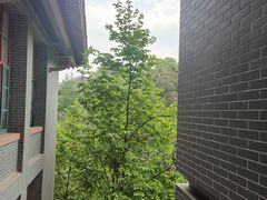 -四川大学(华西校区)