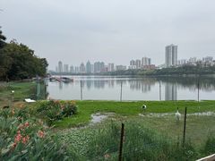 -南宁南湖公园