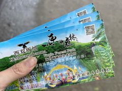 -西双版纳原始森林公园