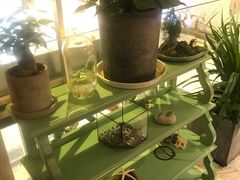 -张爱施法式西餐厅(汉街店)
