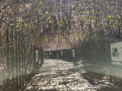 -苏州太湖国家湿地公园