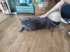 -小时光咖啡馆(开森度假森林店)