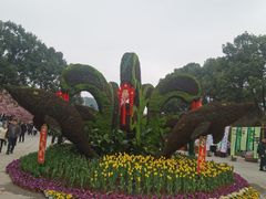 -南山植物园