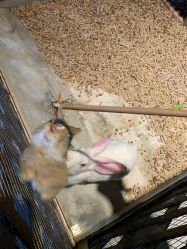 -酷嗒动物文化乐园(cutezoo西溪乐天城店)