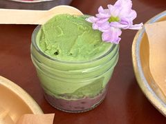 -野草莓自由市场