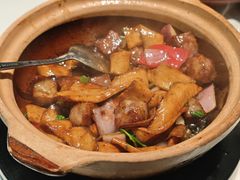 -新兴·金羊座·粤菜点心(乐峰店)