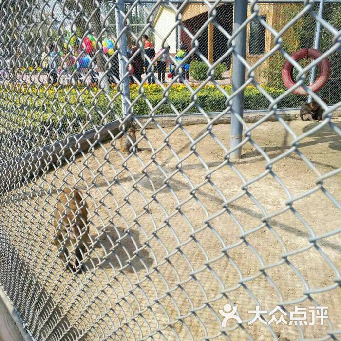 爱保野生动物世界