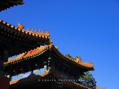 -北京国子监胡同