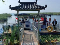 -白洋淀风景区