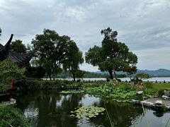 -杭州西湖柳莺里酒店·闻莺厅