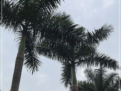 -广州市白云山风景名胜区