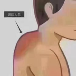 -香薇妮丝·定制减肥·身材管理