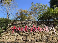 -塔川景区