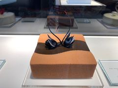 -BLACKSWAN黑天鹅(环球店)