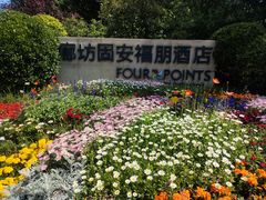 -廊坊固安福朋喜来登酒店