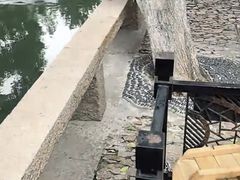 -猫的天空之城概念书店(苏州平江店)