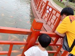 -蒲河岛湿地公园