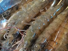 -吉友粥底火锅(方斜路店)