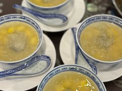 -大中鱼翅 Taitong Shark Fin