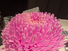 -炳胜私厨(万象前海店)