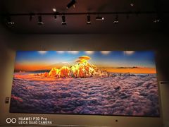 -罗红摄影艺术馆