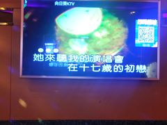 -向日葵KTV(温江店)