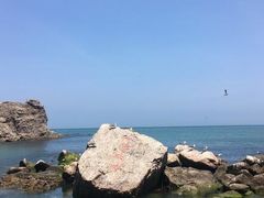 -海驴岛(荣成市)